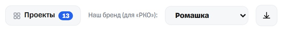 Кнопка «Проекты 13», дропдаун «Наш бренд (для «РКО»): Ромашка» и иконка скачивания в шапке кросс-отчёта.